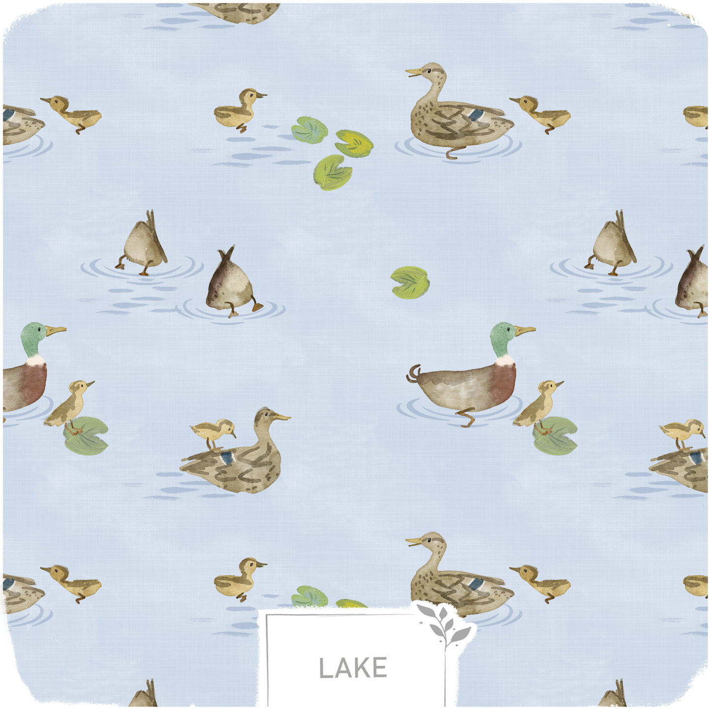 SCANDI DUCKS